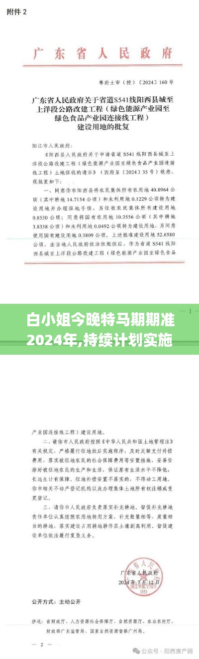 白小姐今晚特马期期准2024年,持续计划实施_U37.160-6