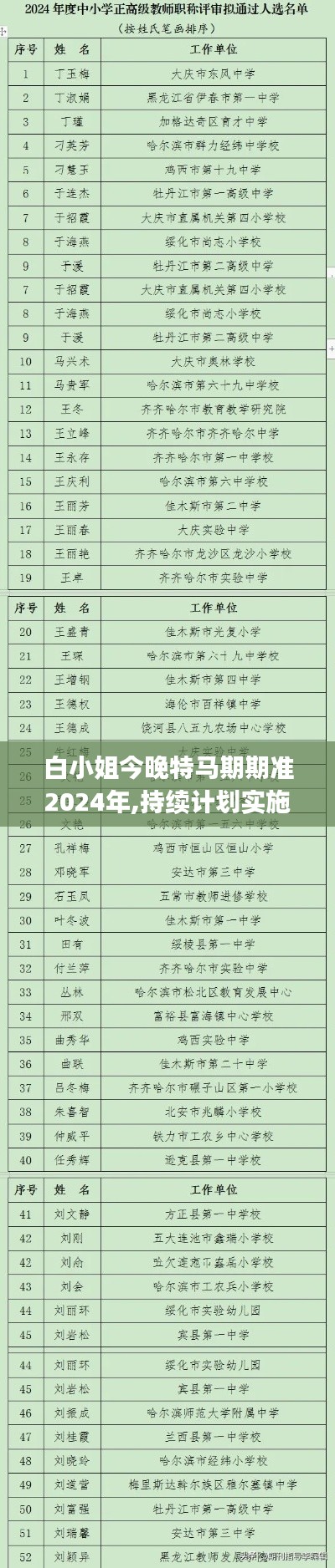 白小姐今晚特马期期准2024年,持续计划实施_U37.160-6