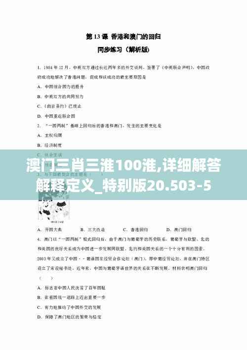 澳门三肖三淮100淮,详细解答解释定义_特别版20.503-5