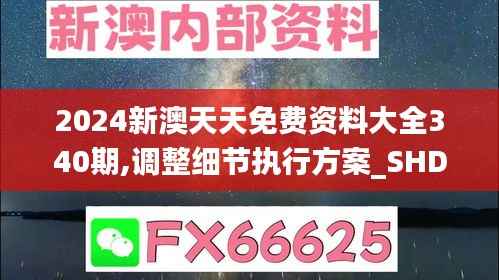 2024新澳天天免费资料大全340期,调整细节执行方案_SHD9.489