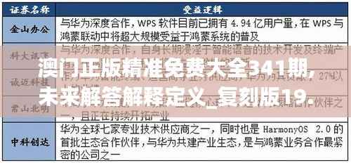 澳门正版精准免费大全341期,未来解答解释定义_复刻版19.343