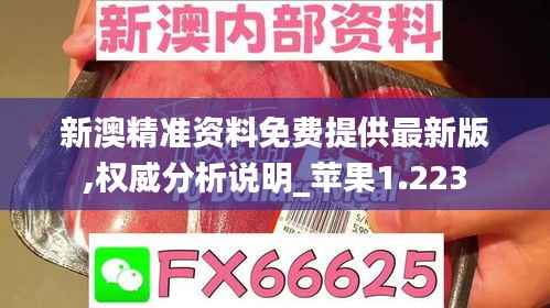 一心一意 第5页