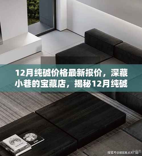 12月纯碱价格最新报价揭秘,小巷宝藏店的独特魅力