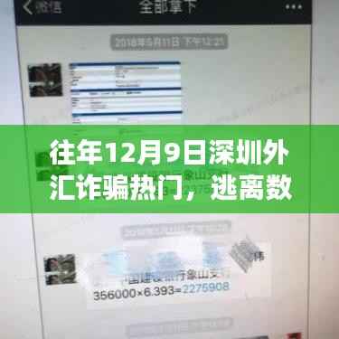深圳外汇诈骗防范与内心宁静之旅,十二月九日的外汇迷宫与和平共处之道