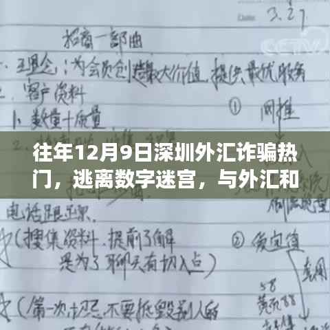 深圳外汇诈骗防范与内心宁静之旅,十二月九日的外汇迷宫与和平共处之道