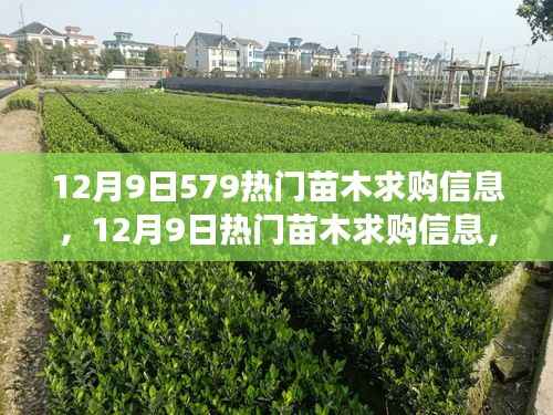 12月9日热门苗木求购信息汇总,变化之树的自信与繁茂成就