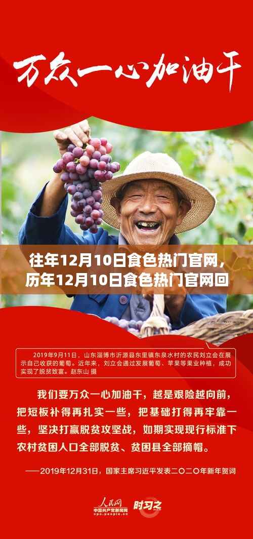 历年12月10日食色热门官网回顾与解析,深度探讨食色风尚变迁的历程