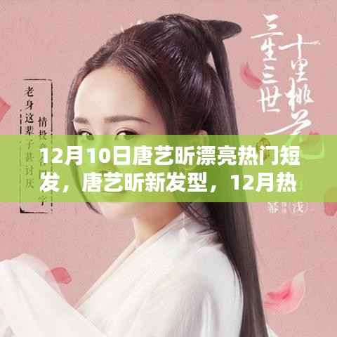 唐艺昕12月新发型,热门短发评测与魅力展现