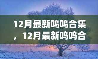 12月最新呜呜合集,与自然美景的邂逅,内心平和之旅
