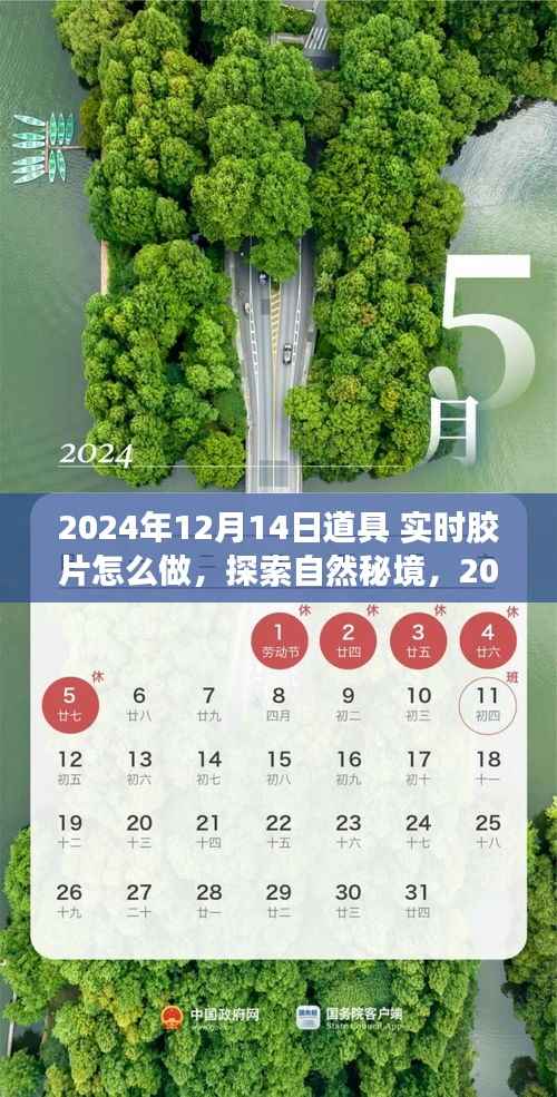 探索自然秘境,实时胶片记录心灵之旅的指南(2024年12月14日)