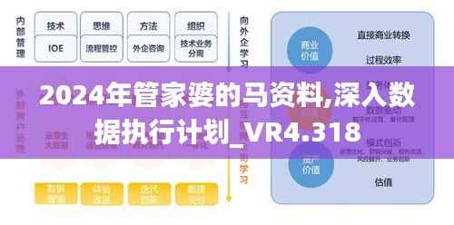 2024年管家婆的马资料,深入数据执行计划_VR4.318