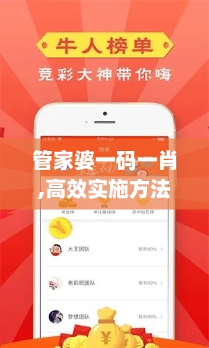管家婆一码一肖,高效实施方法解析_特供版8.521