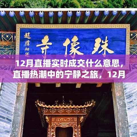 直播热潮揭秘,12月实时成交背后的故事与宁静之旅