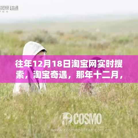那年十二月淘宝奇遇,温暖搜索时刻