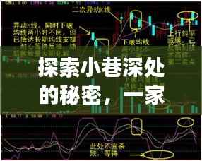 小巷深处的独特魅力,特色小店与K线均线背后的故事