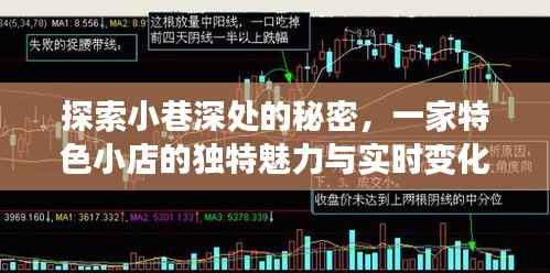 小巷深处的独特魅力,特色小店与K线均线背后的故事