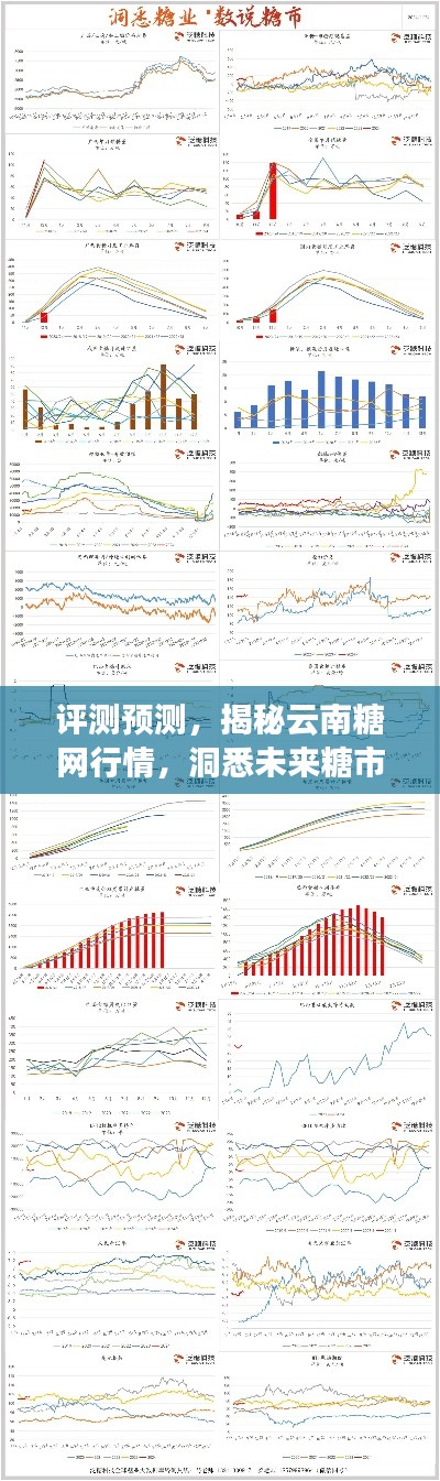 揭秘云南糖网行情,洞悉未来糖市动态展望(以2024年实时数据为例)