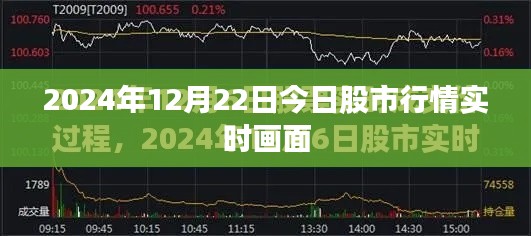 2024年股市实时行情概览