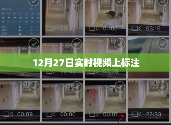 12月27日实时视频标注,最新动态一网打尽