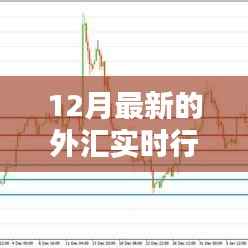 12月最新外汇实时行情概览