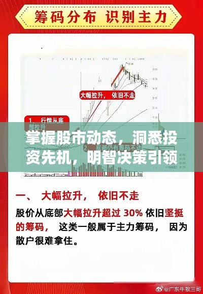 掌握股市动态,洞悉投资先机,明智决策引领财富增长之路