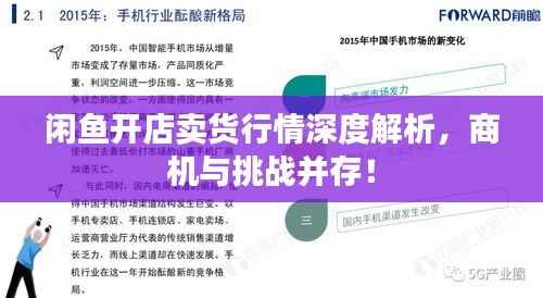 闲鱼开店卖货行情深度解析,商机与挑战并存!