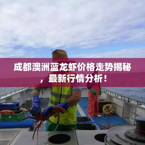 成都澳洲蓝龙虾价格走势揭秘,最新行情分析!