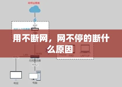 用不断网,网不停的断什么原因