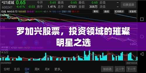 罗加兴股票,投资领域的璀璨明星之选