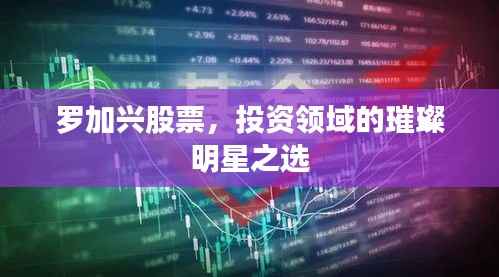 罗加兴股票,投资领域的璀璨明星之选
