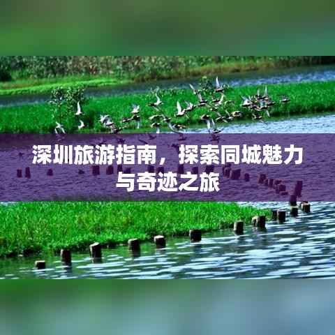 深圳旅游指南,探索同城魅力与奇迹之旅