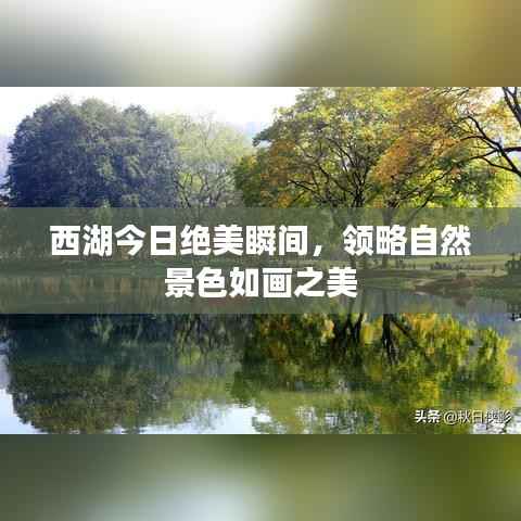西湖今日绝美瞬间,领略自然景色如画之美
