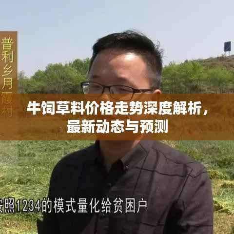 牛饲草料价格走势深度解析,最新动态与预测