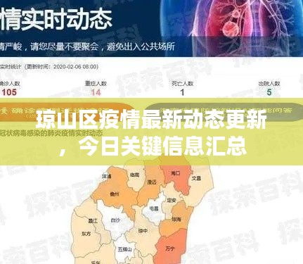琼山区疫情最新动态更新,今日关键信息汇总