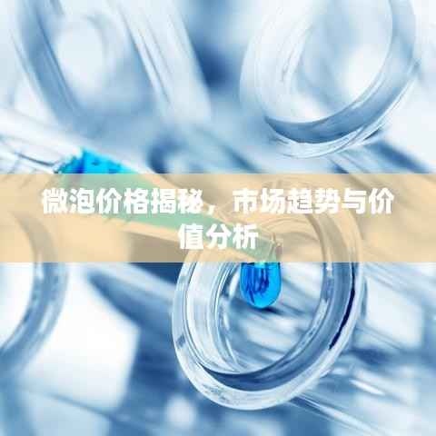 微泡价格揭秘,市场趋势与价值分析