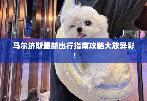 马尔济斯最新出行指南攻略大放异彩!