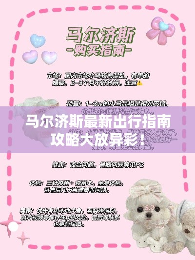 马尔济斯最新出行指南攻略大放异彩!