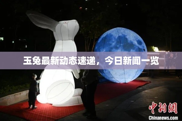 玉兔最新动态速递,今日新闻一览