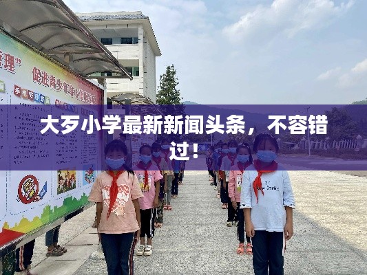 大歹小学最新新闻头条,不容错过!
