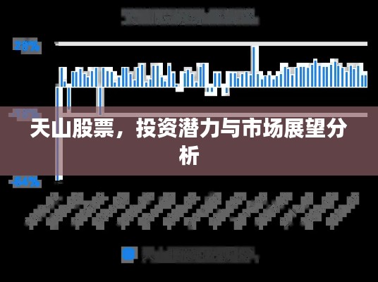 天山股票,投资潜力与市场展望分析