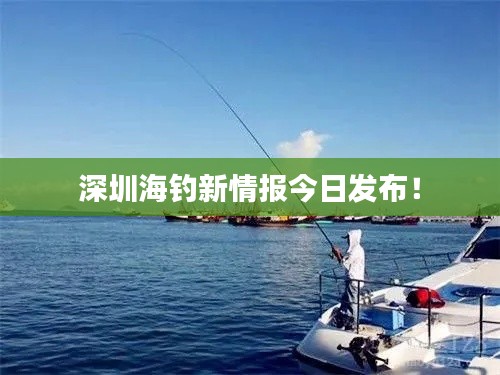深圳海钓新情报今日发布!