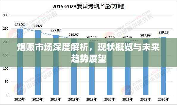 烟贩市场深度解析,现状概览与未来趋势展望